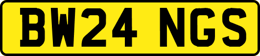 BW24NGS