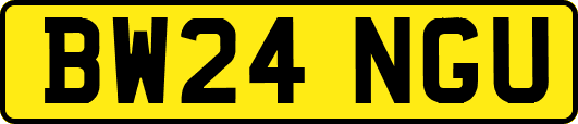 BW24NGU