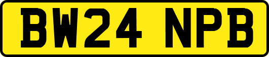 BW24NPB