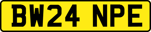 BW24NPE