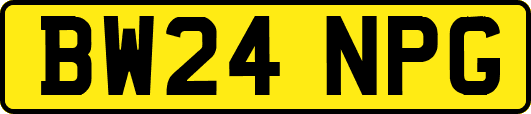BW24NPG