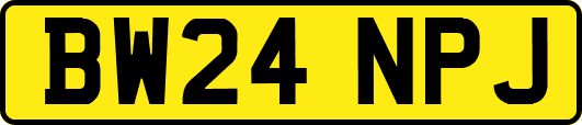 BW24NPJ