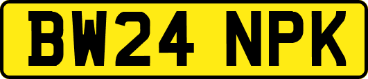 BW24NPK