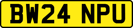 BW24NPU