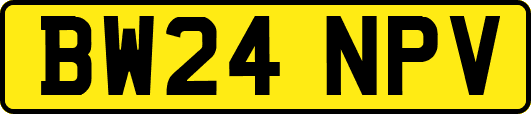BW24NPV