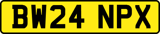 BW24NPX