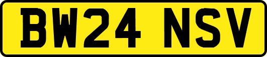 BW24NSV