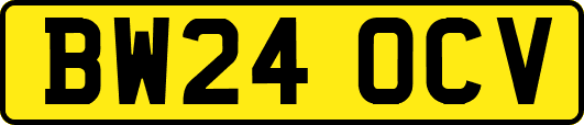 BW24OCV