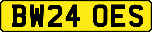 BW24OES