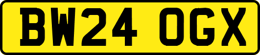 BW24OGX