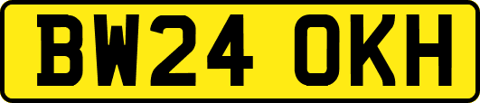 BW24OKH