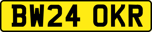 BW24OKR