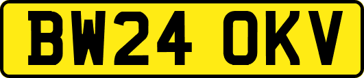 BW24OKV