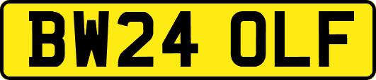 BW24OLF