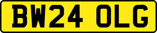 BW24OLG