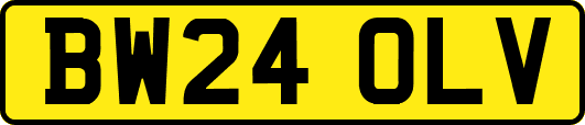 BW24OLV