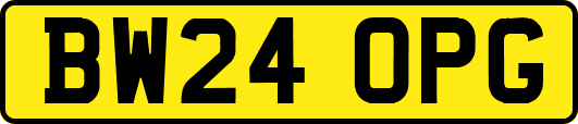 BW24OPG