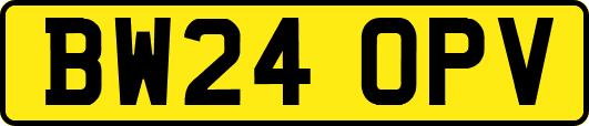 BW24OPV