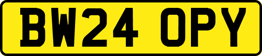 BW24OPY