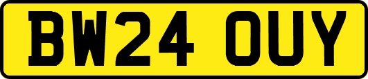 BW24OUY