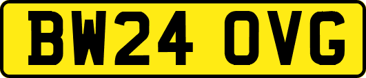 BW24OVG