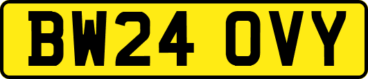 BW24OVY