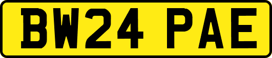 BW24PAE