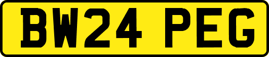 BW24PEG