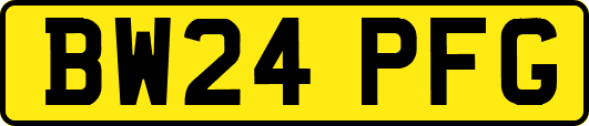 BW24PFG