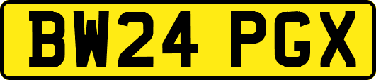BW24PGX
