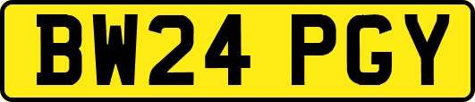 BW24PGY