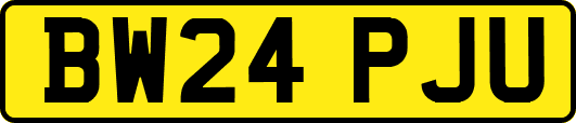 BW24PJU