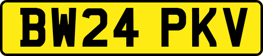 BW24PKV