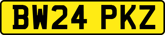 BW24PKZ
