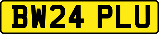 BW24PLU