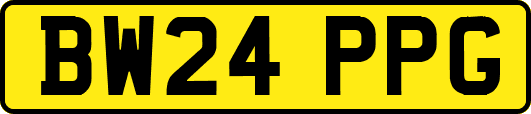 BW24PPG