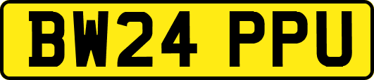 BW24PPU