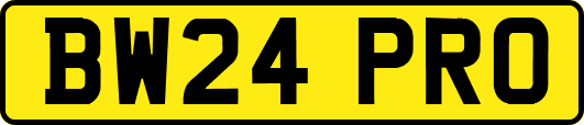 BW24PRO