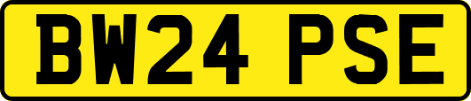 BW24PSE