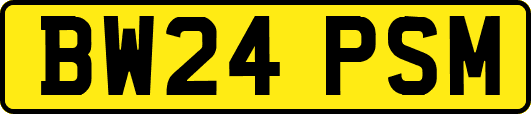 BW24PSM