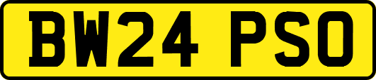 BW24PSO