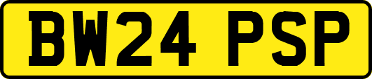 BW24PSP