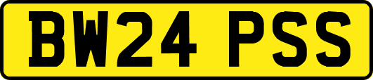 BW24PSS