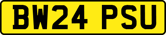 BW24PSU