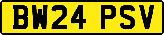 BW24PSV