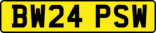 BW24PSW