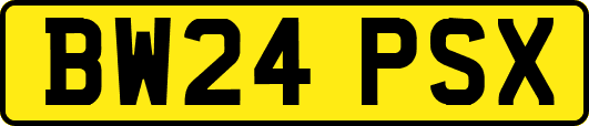 BW24PSX