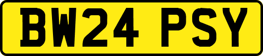 BW24PSY