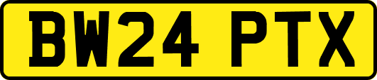 BW24PTX