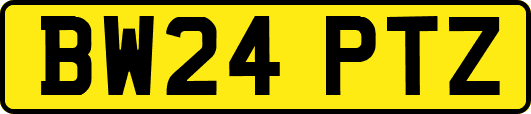 BW24PTZ